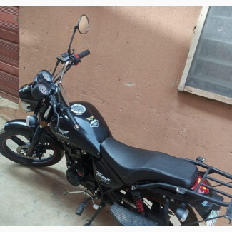 Denstar Taurus 2023 Black
