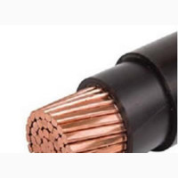 300mmx1core PVC/PVC High Quality Electrical Cables Copper