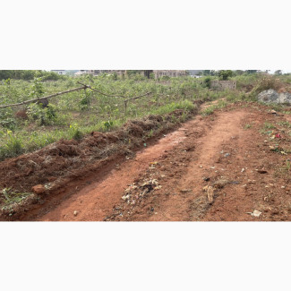 8 Plots of Land Along Proposed Tarred Road in Ekiadolor Community