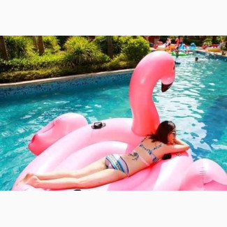 Adult Size Flamingo