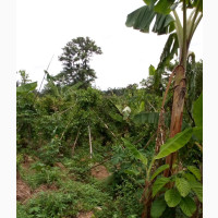 45acres Of Land For Sale At Iseyin To Ibadan