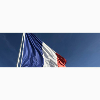Native French Teacher