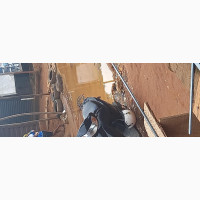 Honda Dio 2015 Black