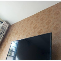 Scanfrost 32led TV