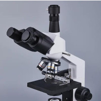 Biological Microscope