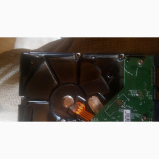 Affordable 250gb WD Desktop Hard Drive for Sale