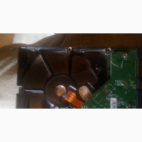 Affordable 250gb WD Desktop Hard Drive for Sale