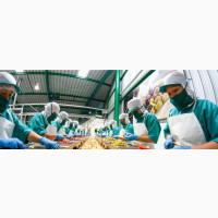 Product Packaging Staff Needed