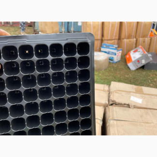 Seedling Seed Tray