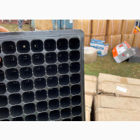 Seedling Seed Tray
