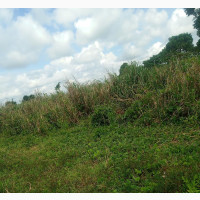 Banking Court Estate Lands for Sale