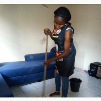 Domestic House Cleaning, Washing of Plates, Laundry