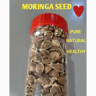 Moringa Seeds for Sale