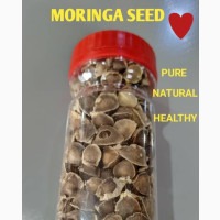 Moringa Seeds for Sale