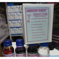 Gram Stain Test Kit