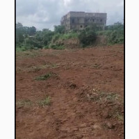 Crystal Garden Phase 3 Land Available