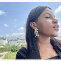Brand New Pineapple Inspired Earrings for Women