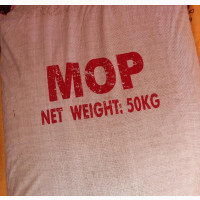 MOP Fertilizers - Boost Your Crop Yield and Quality