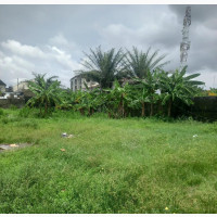 600sqm Mixed-Use Land with C of O Behind LBS, Lekki