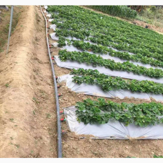 Drip Irrigation Kit for 1 Acre
