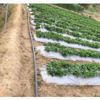 Drip Irrigation Kit for 1 Acre