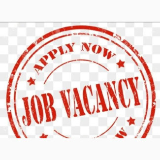 Female Sales / Store Assistant Job in Abraham Adesanya Ajah