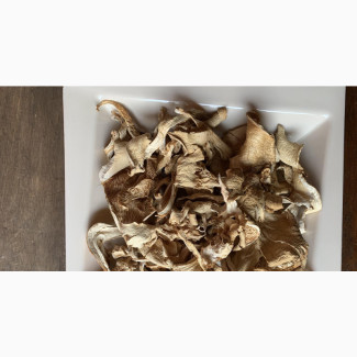 Fresh and Dried Mushroom Available Now