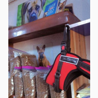 Pet Food and Accessories Available