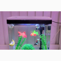 15litres Aquarium With Decorations