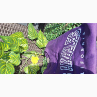 Customizable Graphic Design Sweatshirts