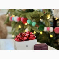 Corect Apple Airpod Pro Second Generation