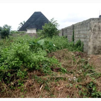 A Plot for Sale