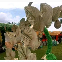 Event Decoration
