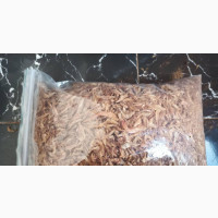 Fresh and Tasty Oron Crayfish Available