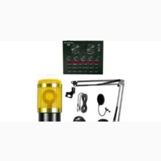 Professional Condenser Microphone + V8 Sound Card