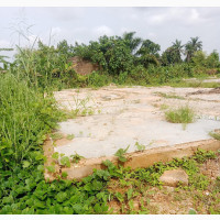 100x100 for Rent Perfect for Fish Pound, Pig Farm Oil Mill