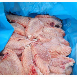 Turkey Wings for Sale