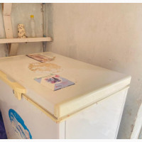 250L Nexus Chest Freezer