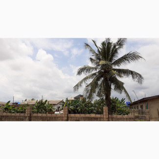 1 Plot of Land (Residential)