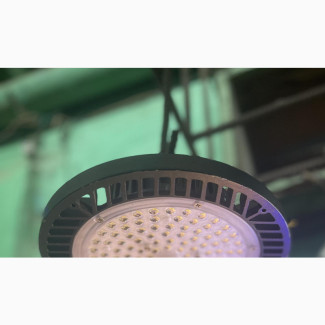 Canopy Lights