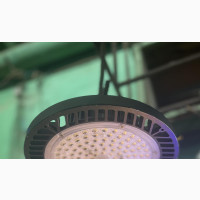 Canopy Lights
