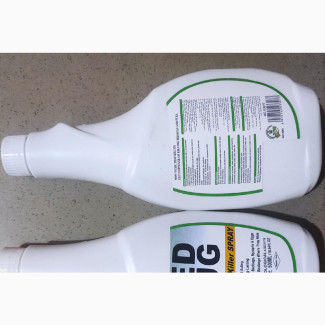 Best Bedbugs Solution