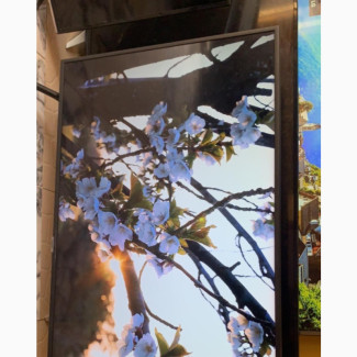 Samsung 49/50 Smart NU LED TV - Brand New