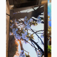 Samsung 49/50 Smart NU LED TV - Brand New