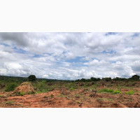 IBUSA Land for Sale
