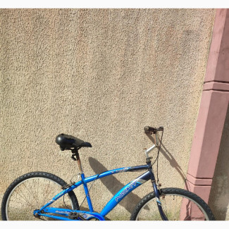 Adult American Bycicle