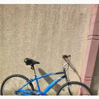 Adult American Bycicle