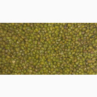 Green Gram/Moong (500g)