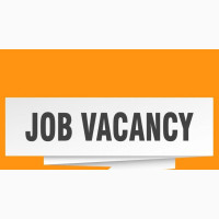 Remote Advertising Job