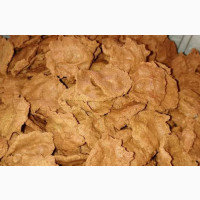 Spicy Kuli Kuli (Kuli Kuli Alata) - Tasty and Crunchy Snacks